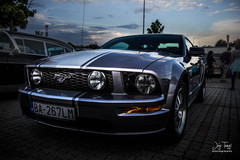 mustang