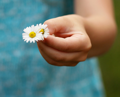 For You 2