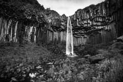 Svartifoss