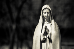 panna mária v Puchbergu