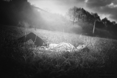 Wake Me Up B&W