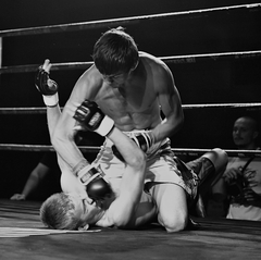 Fightmania v Michalovciach