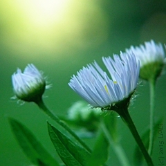 Pohlad na posledne luce slnka...