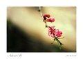 natural art