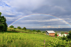 Dúha