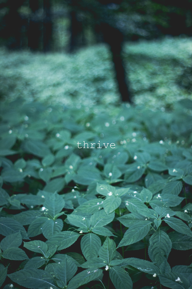 Thrive