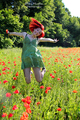 Freedom