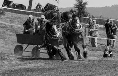 Morovnianska podkova 2015