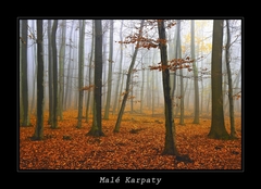 Malé Karpaty