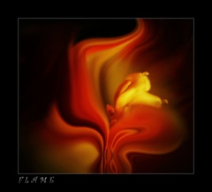 Flame