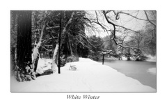 White Winter