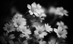 BW  World