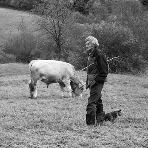 Stretnutie s pastierom