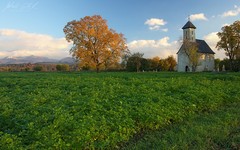 Jesenné ráno pri Pominovci