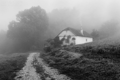 Zahmlené ráno