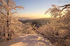 Pod vrcholom Chmeľovej I