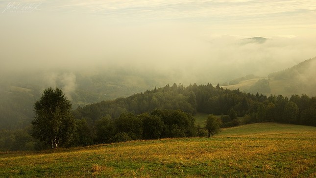 Na Bielom vrchu I.