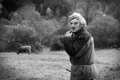 Stretnutie s pastierom