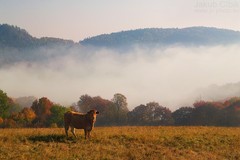 Život pod Vršatcom