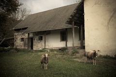 Pohľad do minulosti