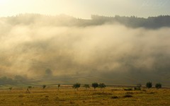 Ranné prebúdzanie IV.