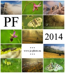 PF 2014