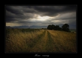 Home - coming