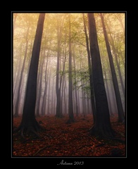 Autumn 2013