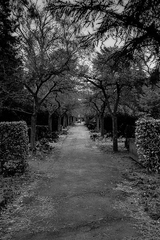 Strašidelný park