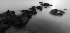 Shoreline
