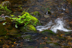 Rolley Falls