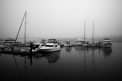 Yaletown Marina