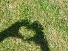 summer love
