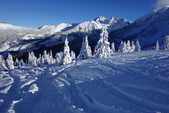 Alpská romanca..))
