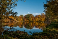 velky lesni rybnik 2