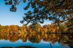 velky lesni rybnik