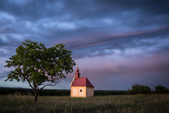 u kostolika
