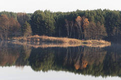 vchadzka