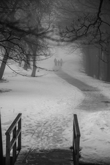 Stroll