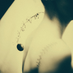 Whatever doesn't kill you...