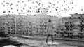 swarm