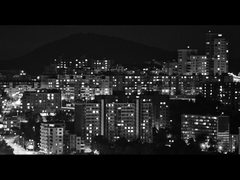 Urban jungle
