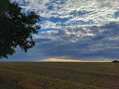 Cloudy fields in Beša