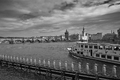 Hromadný útek tučniakov z pražsk