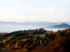 Ranná šlahačka