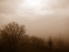 From my windov