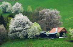 Hriňovské lazy