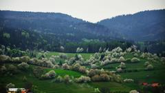Hriňovské lazy