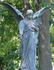 Angel of mercy