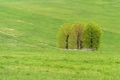 Pokoj duše